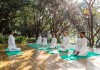 Sự yên tĩnh hiếm có ở Yoga Ấn Độ