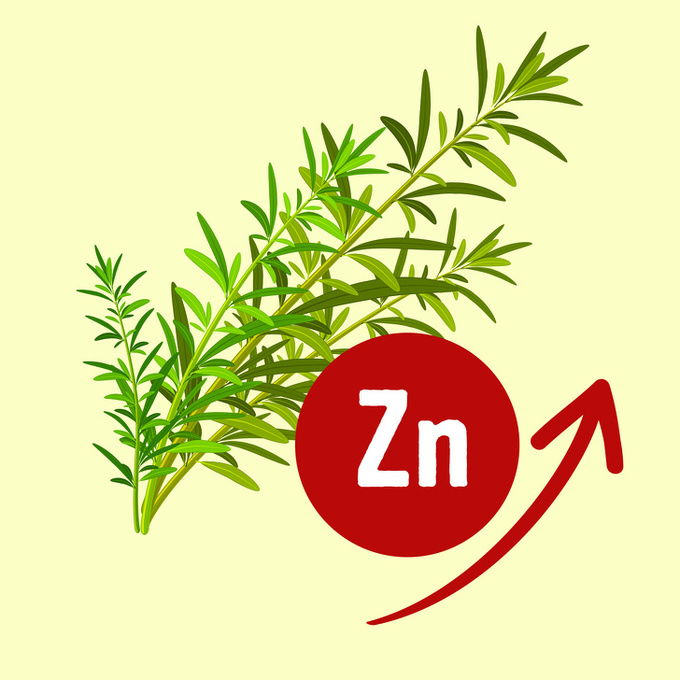 2.11 nguyên liệu tự nhiên giúp loại bỏ mùi hôi cơ thể10