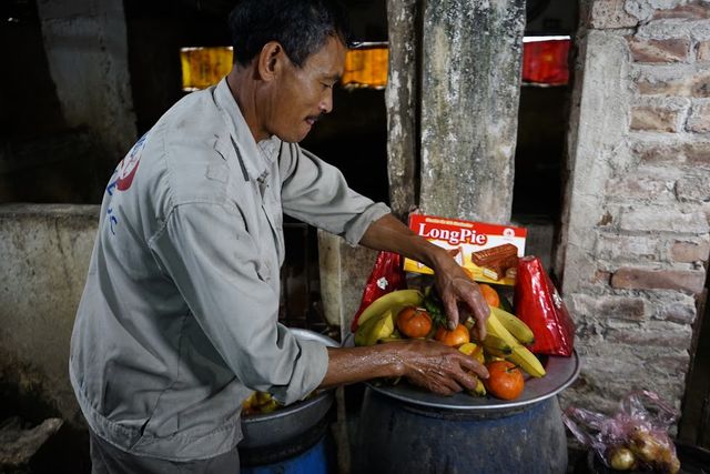 Sau khi ăn xong, lợn được tráng miệng bằng hoa quả tươi như: chuối, táo, lê, bưởi...