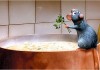 Những món ăn kinh điển trong phim Ratatouille mà bạn có thể thưởng thức ngay tại Sài Gòn