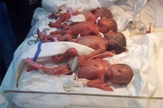 Hình ảnh các bé trong ca sinh 7 của bà mẹ người Iraq.