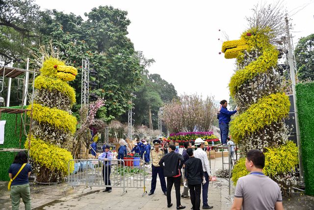 le hoi hoa anh dao 2