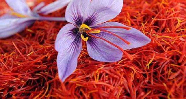 saffron 2