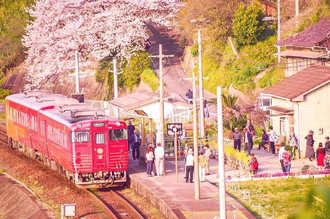 Bạn sẽ mất khoảng một tiếng di chuyển bằng tàu hoặc xe hơi từ trung tâm Ehime để đến nhà ga này. Mùa hoa anh đào thì đông du khách hơn. Mỗi ngày chỉ có vài chuyến tàu đi ngang, nếu muốn xem tàu, bạn nên kiểm tra giờ tàu chạy trước khi đến.