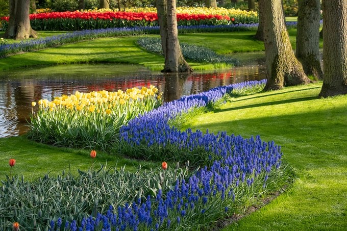 Thiết kế của Keukenhof phù hợp với mọi người. Có thời gian, bạn hãy bám theo bản đồ, dạo bộ tham quan hết vườn hoa ngoài trời lẫn các khu triển lãm. Chỉ ghé vườn nửa ngày thì ngắm hoa từ thuyền trên sông cũng là ý không tồi. Bên cạnh đó còn có làn xe lăn dành cho người khuyết tật và vườn hoa trong nhà kính nếu chẳng may trời mưa, du khách vẫn có thể ngắm hoa thỏa thích.