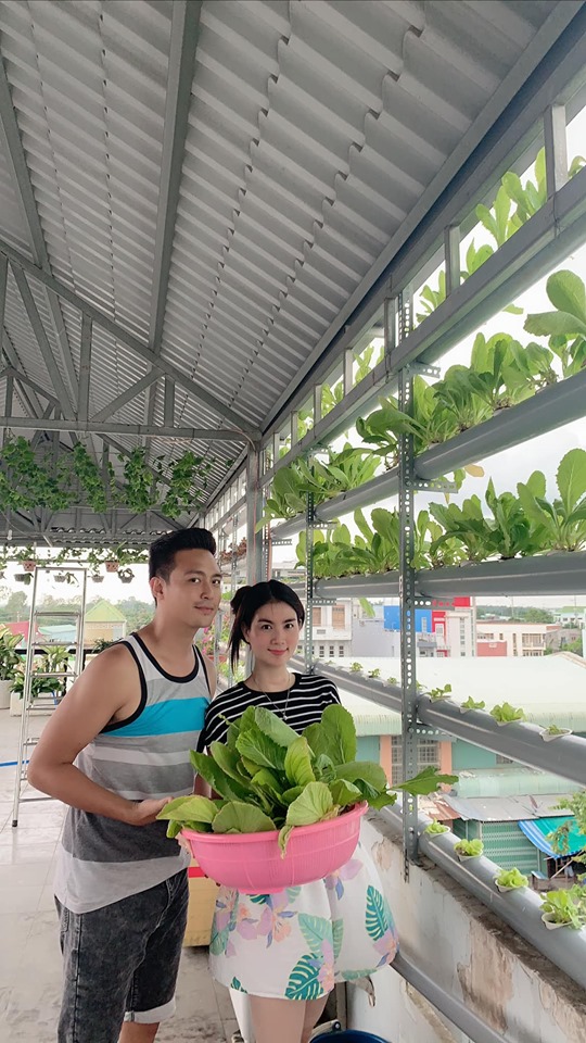 Vợ chồng Kha Ly - Thanh Duy thu hoạch rau trong vườn nhà.