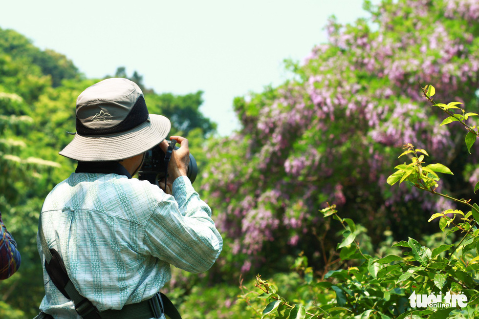 Nhiếp ảnh gia săn ảnh hoa thàn mát trước khi hết mùa - Ảnh: TẤN LỰC