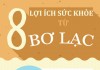 8 lý do khiến bơ lạc luôn được ‘ưu ái’ dùng trong ăn kiêng