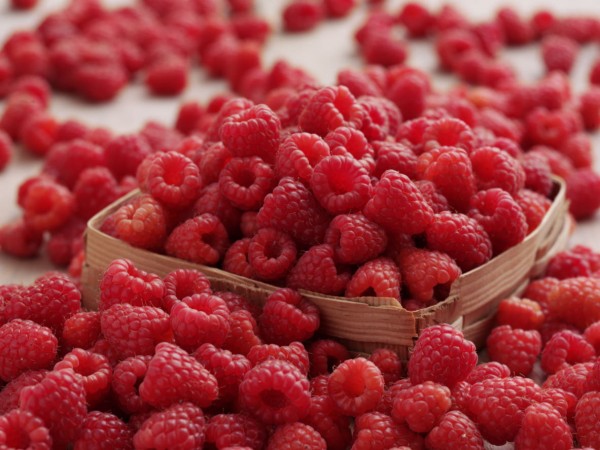 pile of Raspberries in punnett