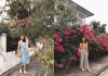 Mùa hè là phải diện đồ họa tiết nhưng diện sao cho trẻ trung mà không sến thì cần lắm 4 bí kíp này