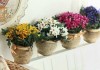 4 loại đồ vật tuyệt đối không được đặt tùy tiện trong nhà kẻo gánh họa