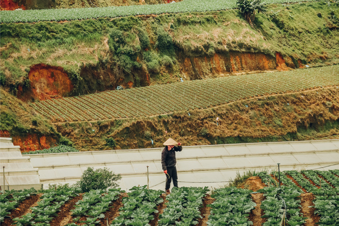 46.Đà Lạt khác lạ trong mắt chàng trai Sài Gòn2