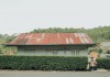 Đà Lạt khác lạ trong mắt chàng trai Sài Gòn