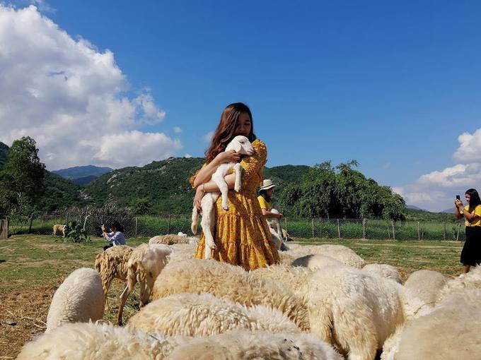 6.Đồng cừu như trời Tây thu nhỏ ở Khánh Hòa1