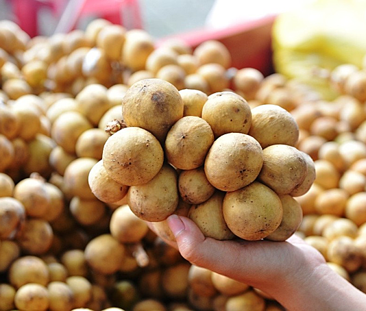 Mẹo chọn bòn bon ngon, không hóa chất