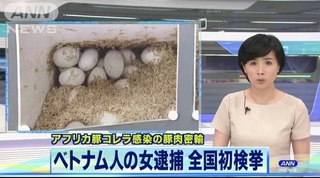 Đài ANN đưa tin về việc thực phẩm nữ du học sinh Việt Nam mang sang Tokyo bị tịch thu tại sân bay và mang đi kiểm dịch.