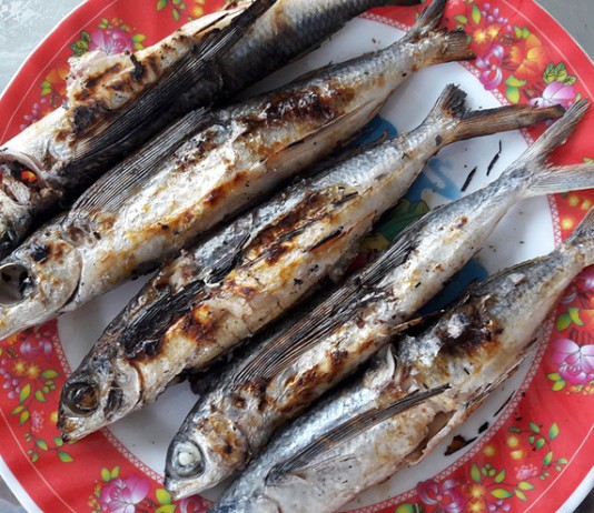 Những ‘phiên khúc’ cá chuồn