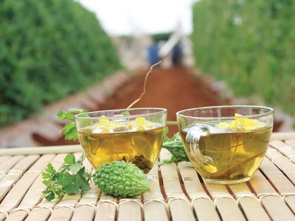 6.Đánh bay mỡ thừa đáng ghét với khổ qua trong vòng 5 ngày5