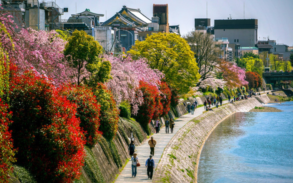 Thành phố Kyoto của Nhật Bản - Ảnh: Travel and Leisure