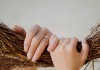 Nhiều bạn trẻ không muốn lập gia đình, tại sao?