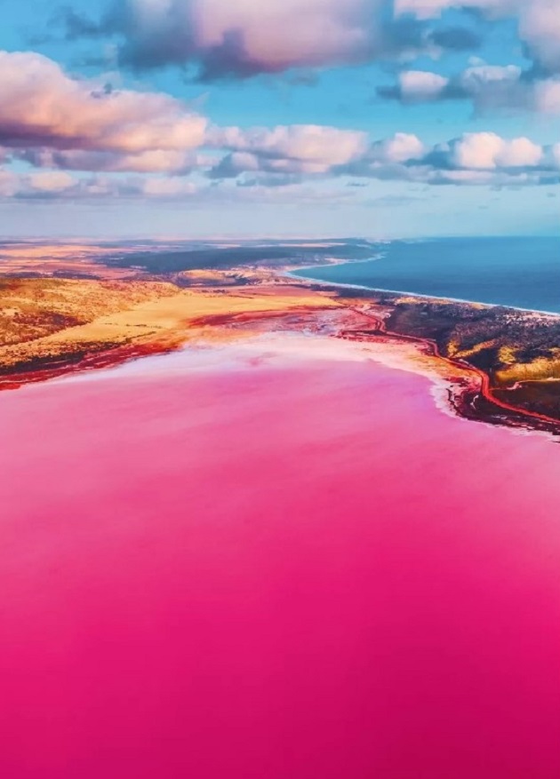 Hutt Lagoon được xem là một hồ muối, nơi cư ngụ của loài tảo đỏ carotene dunaliella salina. Đây là một chất tạo màu thực phẩm và là nguồn cung cấp vitamin A dồi dào.