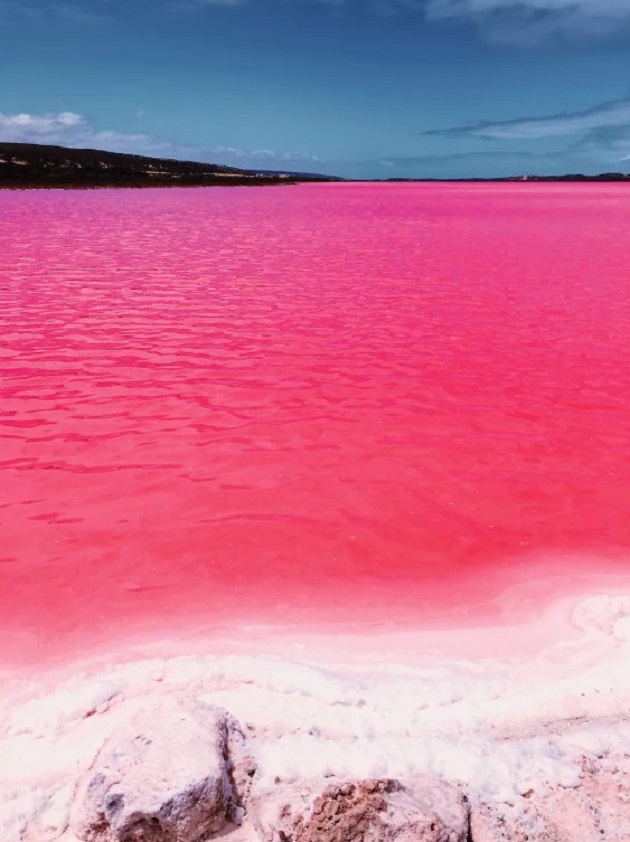 Hutt Lagoon được xem là "nhà máy" sản xuất vi tảo tự nhiên lớn nhất thế giới, dùng cho công nghệ nhuộm màu thực phẩm