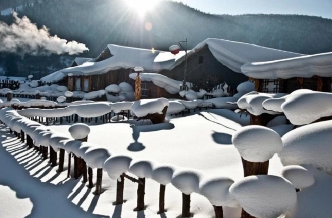 Tuyết dày, trắng mịn thường xuyên phủ đầy ngôi làng khiến nó thật nên thơ giữa mùa đông. Sáng thức giấc, bạn được chiêm ngưỡng lớp tuyết chảy dài trên mái nhà tựa kem sữa, hay hàng rào bị tuyết bám sau một đêm dài tạo hình thù như những cây nấm tuyết trông khá thú vị. 