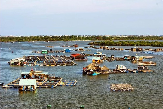 Long Sơn cách trung tâm TP Vũng Tàu khoảng 12km về phía tây nam, được người địa phương gọi là đảo hàu với hàng trăm bè nuôi hàu, cung cấp nguyên liệu cho nhà hàng khắp thành phố lẫn các tỉnh lân cận. 