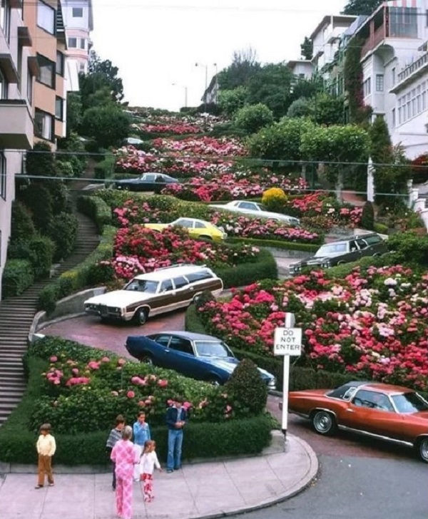 Phố Lombard ở San Francisco (bang California, Mỹ) nổi tiếng vì có đường dốc, ngoằn ngoèo, trồng hoa đẹp. Nhiều năm nay, nó trở thành một trong những điểm đến hút du khách nhất ở thành phố.