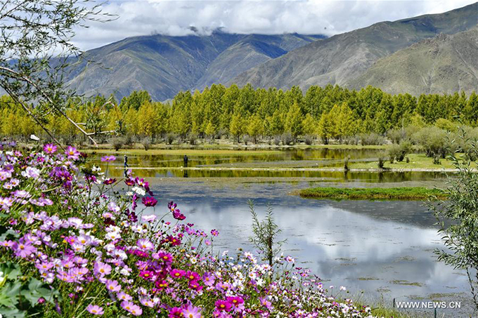 Không phải chỉ tới mùa thu, hồ Kim Sắc mới đẹp mà đến đây vào bất kỳ thời điểm nào trong năm, bạn cũng có thể chiêm ngưỡng thiên nhiên hoang sơ, thoát tục với trăm hoa đua nở rực rỡ cùng hệ sinh thái đặc biệt phong phú.