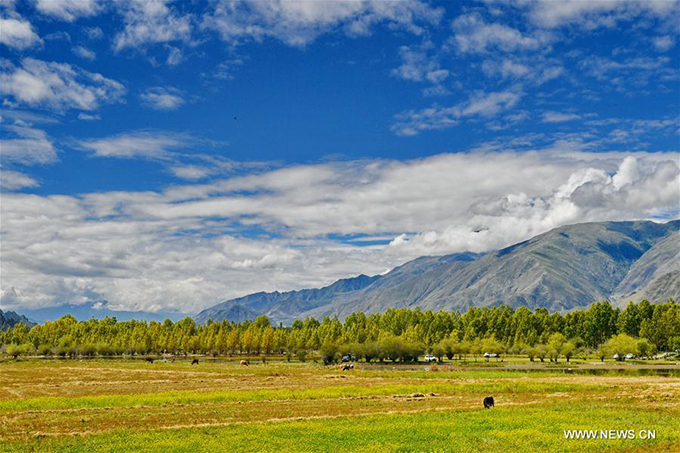 Nằm tại thôn Bagaxue, thị trấn Tajie, huyện Dagze, thành phố Lhasa, hồ Kim Sắc trở thành điểm đầu tư thu hút du lịch, cải thiện đời sống của người dân Tây Tạng. Một sự án trị giá 360 triệu nhân dân tệ đã bắt đầu triển khai từ tháng 8 để biến thắng cảnh hoang sơ này trở này một khu du lịch sinh thái phức hợp.