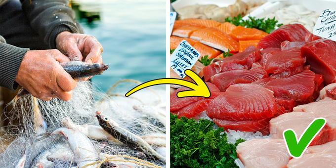 Cá nuôi trong trang trại  Cá hoang dã chứa nhiều Omega 3, rất tốt cho tim mạch. Hiện nay, nhiều loại được nuôi trồng trong trang trại chứa các chất phụ gia hóa học mà nông dân sử dụng để làm cho chúng phát triển nhanh hơn. Các chất này không tốt cho sức khỏe.