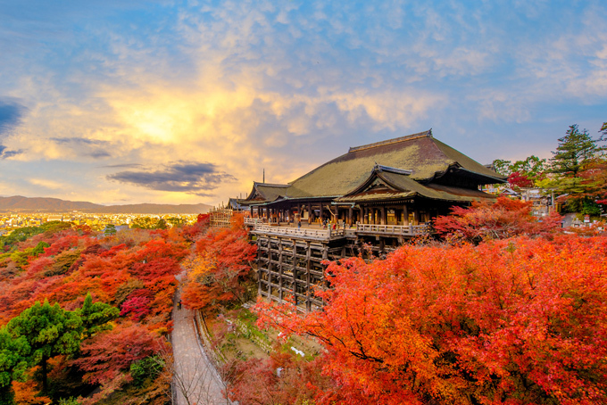 Nhật Bản vào thu rực rỡ sắc màu đỏ vàng khắp mọi nơi.