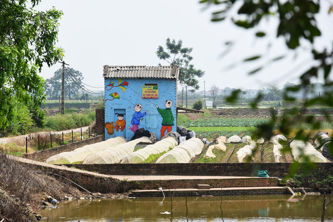 Cạnh ruộng hoa, chòi để dụng cụ lao động của người dân cũng trở nên vui mắt với hình các em bé đang thả diều.