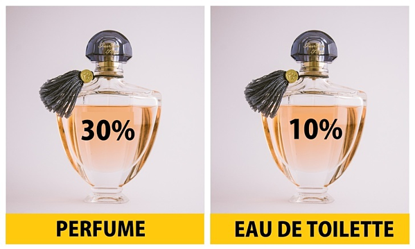 Perfume thường chứa tới 30% tinh chất nước hoa trong khi Eau de Toilette chỉ chứa 10%.