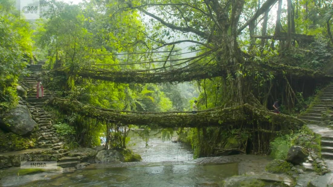 Mawlynnong được mệnh danh là "ngôi làng sạch nhất châu Á" nhờ các gia đình Khasi - cộng đồng dân tộc theo chế độ mẫu hệ ở Ấn Độ - luôn giữ cho ngôi làng của họ nguyên sơ. Không khí trong lành, nhiều đoạn cây cối um tùm khiến bạn như lạc vào khu rừng nguyên sinh, khá thú vị. 