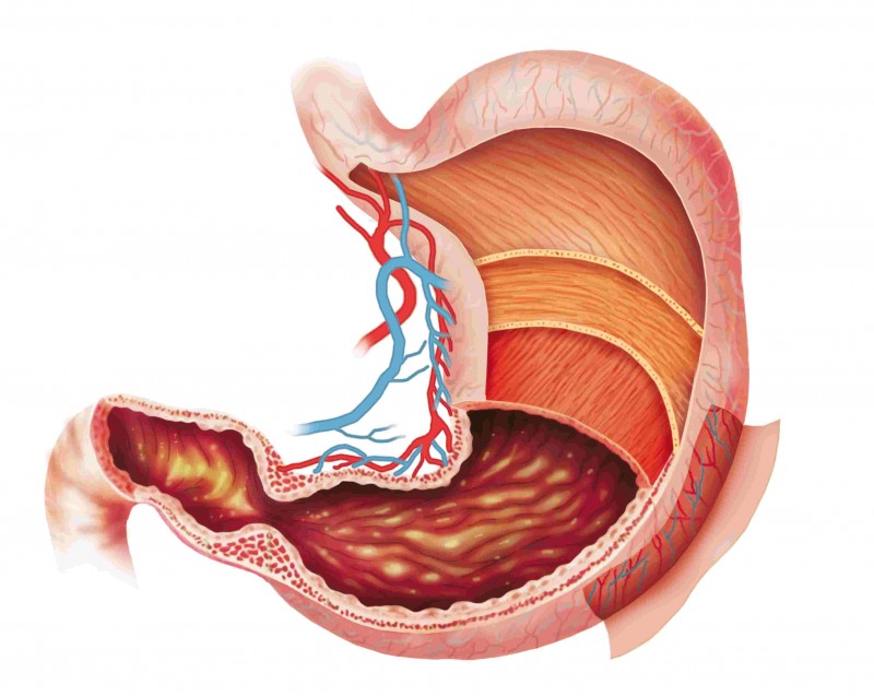 24. Bỏ bữa sáng có hại như thế nào1