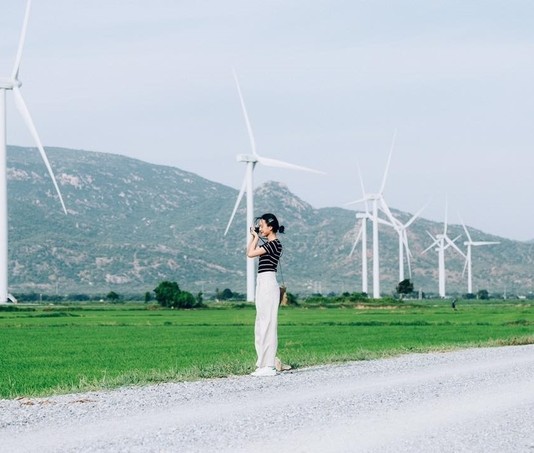 Đồng điện gió đẹp như tranh