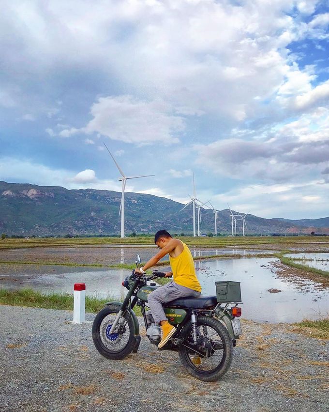 Không có địa chỉ chính xác, bạn có thể dựa vào Google maps để đi. Từ đồng cừu Suối Tiên, bạn chạy hướng Quốc lộ 1A khoảng 20 km, rẽ tay phải vào đoạn đường trải đá, hai bên là đồng lúa. Đứng ở đây bạn đã bắt đầu nhìn thấy những tua bin xoay trong gió. Ảnh tonie_nguyen