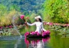 Mùa hoa súng trên dòng Suối Yến hút hồn người thiếu nữ