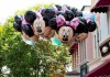 8 điều tuyệt đối đừng bao giờ vi phạm ở công viên giải trí Disneyland