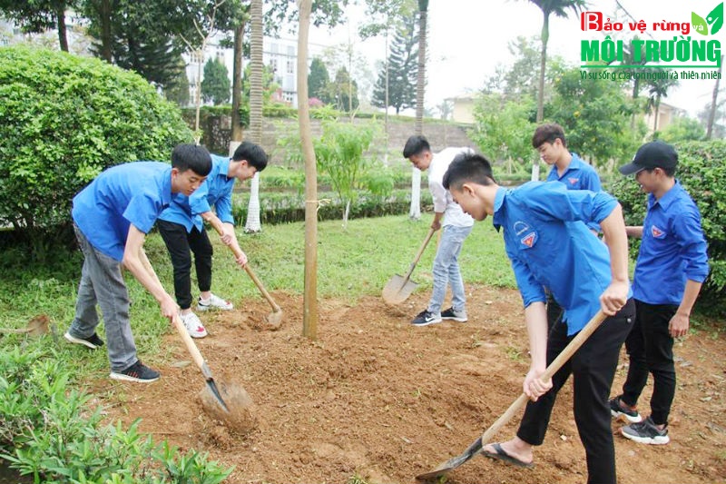 Nhận thức được vai trò quan trọng của việc trồng cây, thầy trò trường Đại học Lâm nghiệp thường xuyên tổ chức các hoạt động trồng và chăm sóc cây xanh.