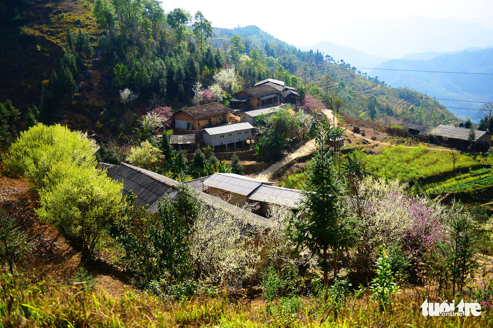 Những ngôi nhà của đồng bào dân tộc ở huyện Đồng Văn - Ảnh: QUANG ĐỊNH
