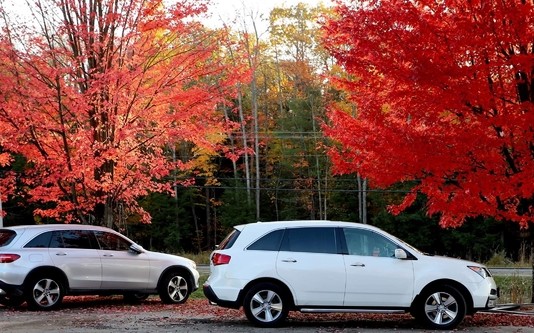 Thu Canada đẹp như tranh