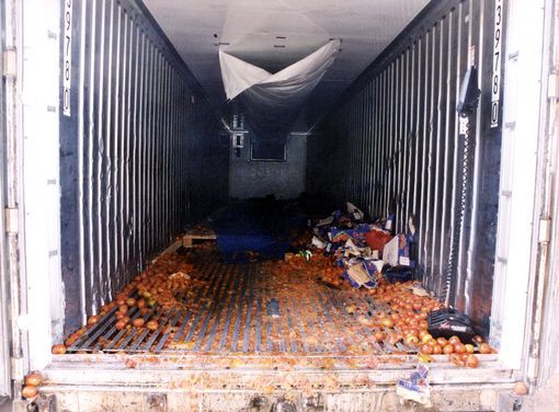 Cảnh sát phát hiện 58 thi thể người Trung Quốc trong container chở cà chua tại Dover vào tháng 6-2000 - Ảnh: PA