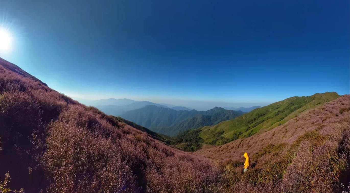 Tà Chì Nhù thuộc huyện Trạm Tấu cao 2.979m được ví như "đại dương trên mây" vì nổi tiếng với biển mây ở lưng chừng trời. Đây là cung trekking mơ ước của dân phượt bởi cảnh đẹp, nhất là độ từ cuối tháng 10 đến tháng 11, khi vào mùa hoa chi pâu màu tím, phủ đầy cả một vùng.