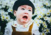 Bé gái mếu máo khóc khi chụp ảnh với cúc họa mi
