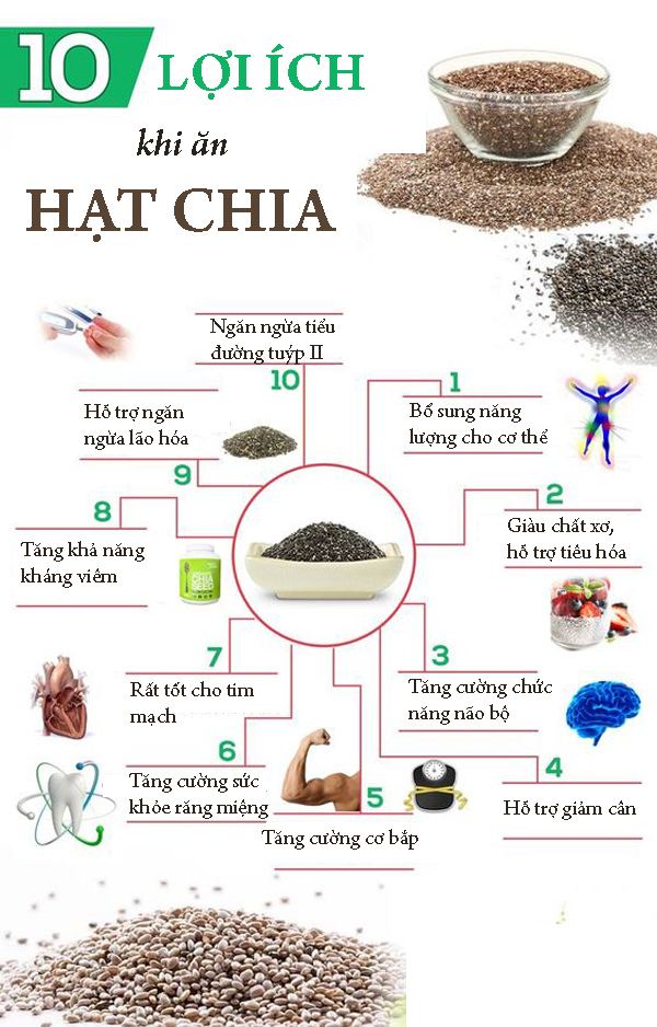 2. 10 lợi ích khi ăn hạt chia thường xuyên