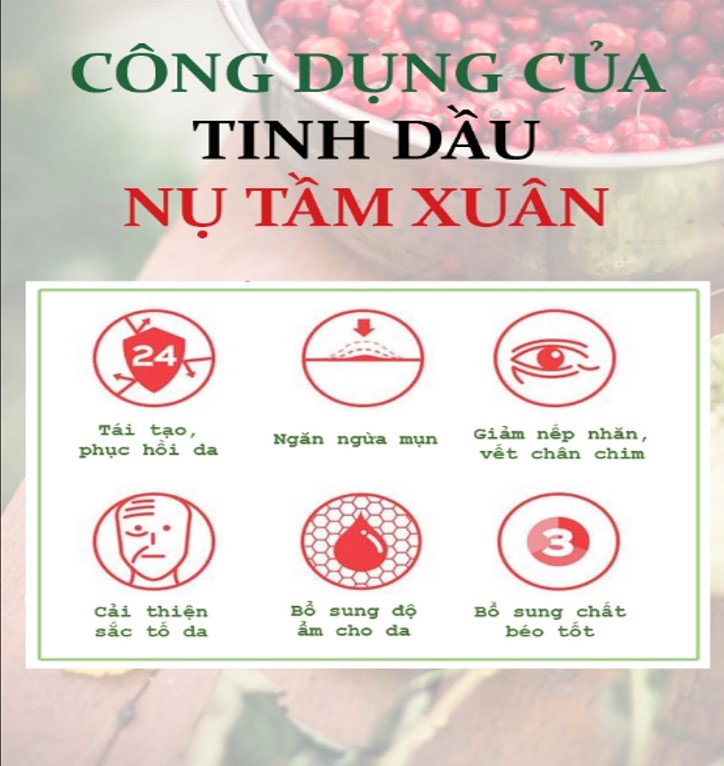 25. tinh dầu nụ tầm xuân