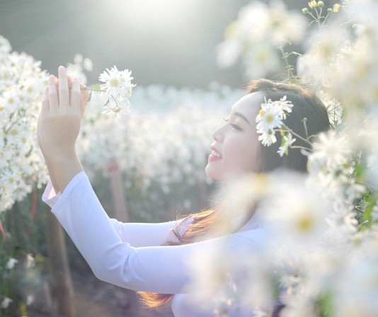 ‘Thung lũng cúc họa mi’ hồ Tây thu hút giới trẻ